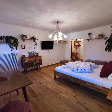 Gemuetliches Studio Mit Garagenparkplatz Fiè Екстериор снимка