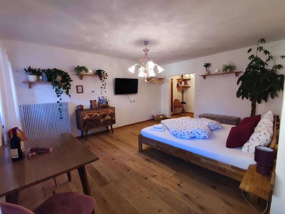 Gemuetliches Studio Mit Garagenparkplatz Fiè Екстериор снимка